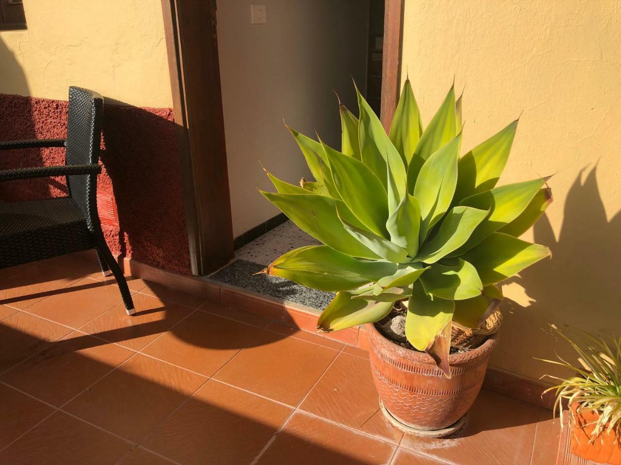 Casa La Tosca * Tejeda (Gran Canaria)